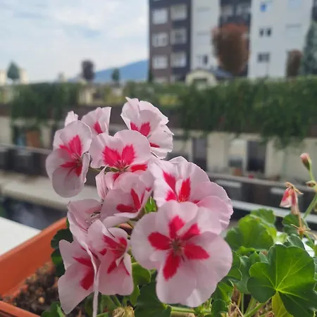 Apartman S&sapartment *