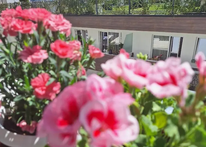 S&sapartment Apartman Szkopje