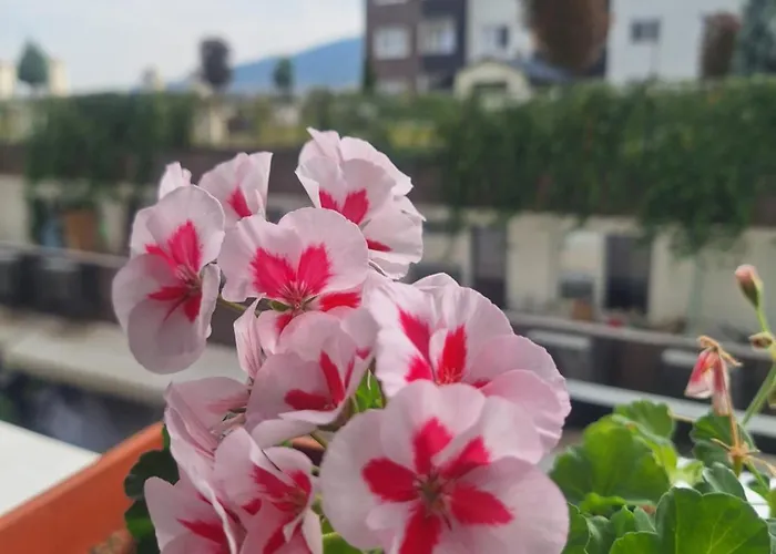 Apartman S&sapartment *